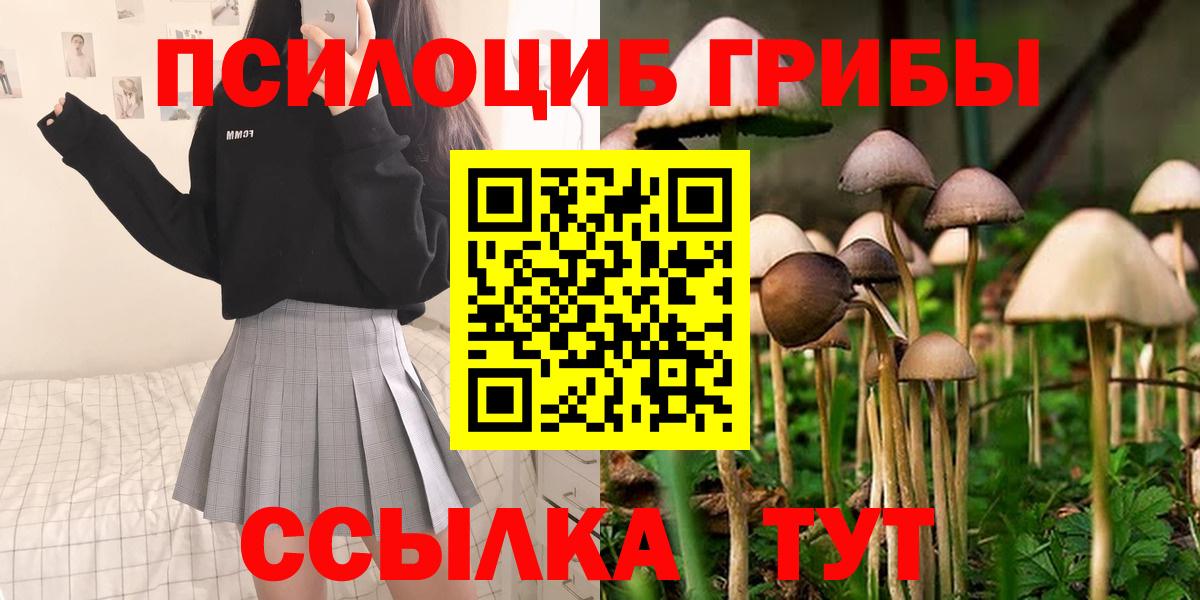 Псилоцибиновые грибы прущие грибы Чебоксары