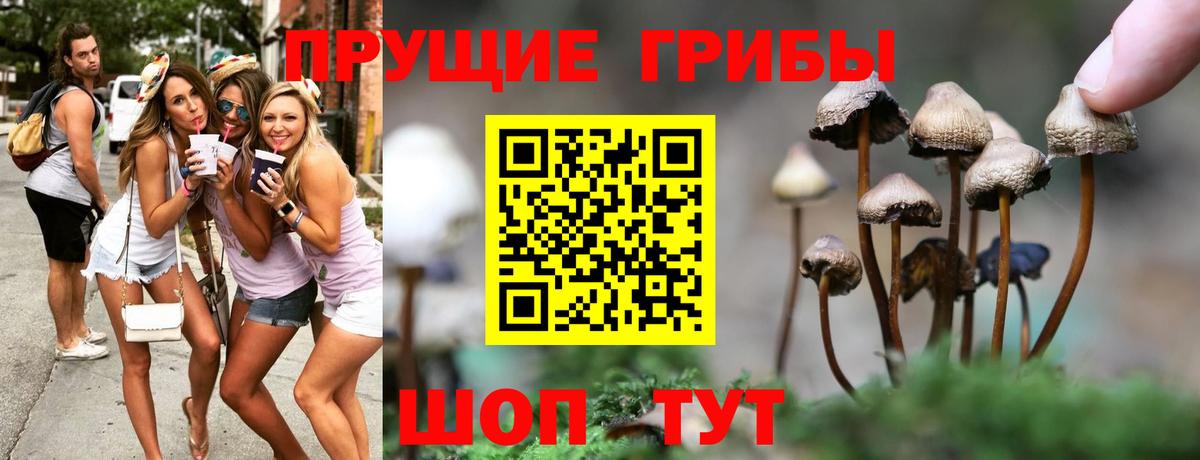 Галлюциногенные грибы прущие грибы  Вход с VPN  Чебоксары 